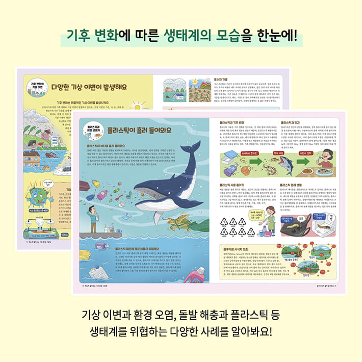 카드뉴스3
