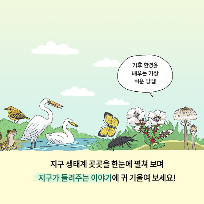 카드뉴스5