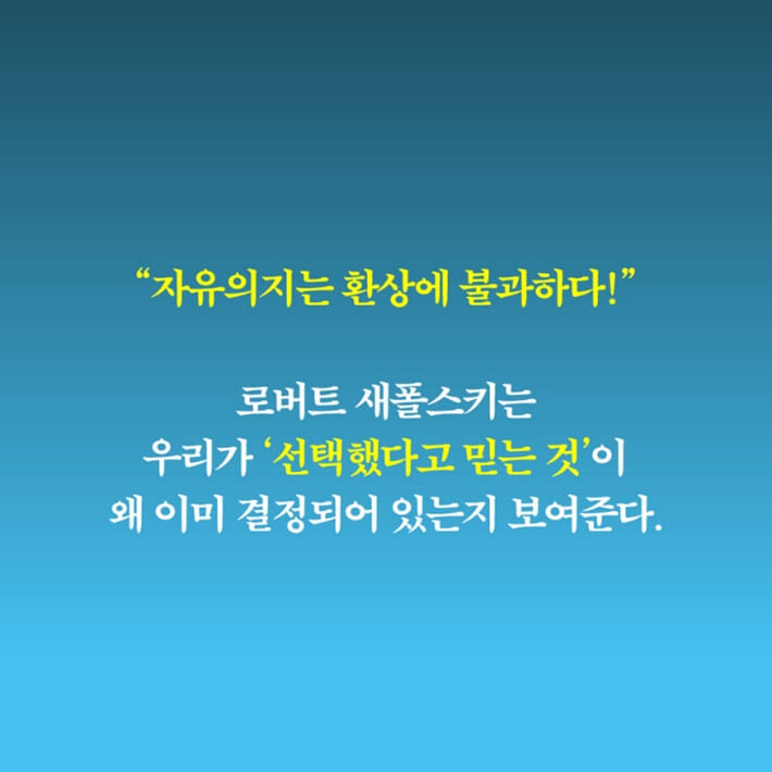 카드뉴스4