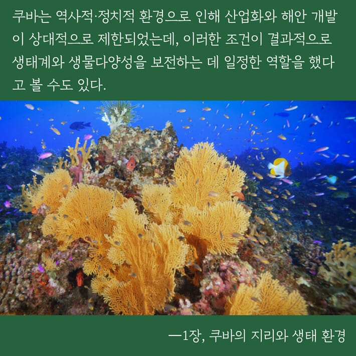 카드뉴스4