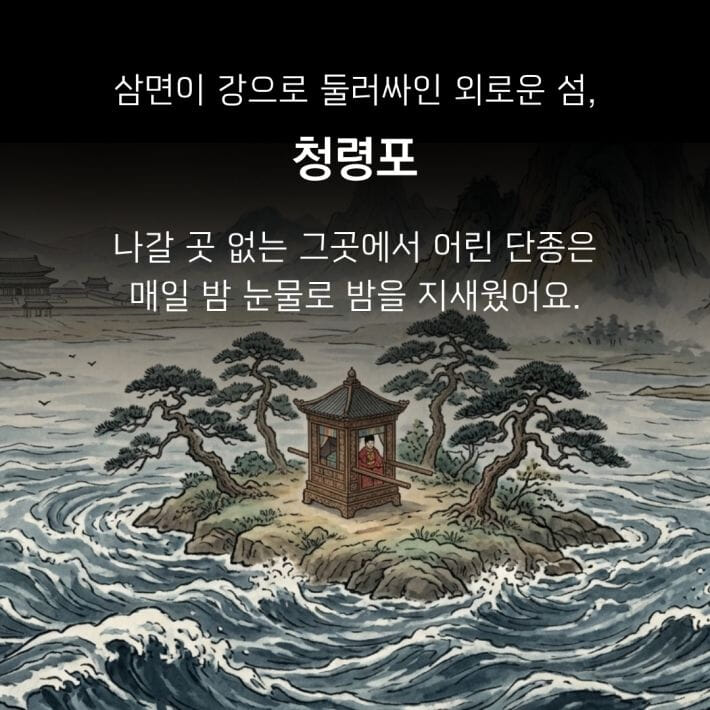 카드뉴스7