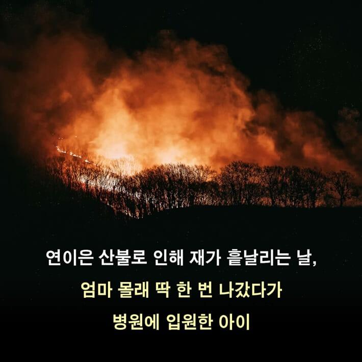 카드뉴스4