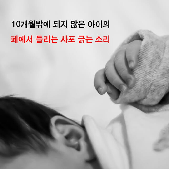 카드뉴스5