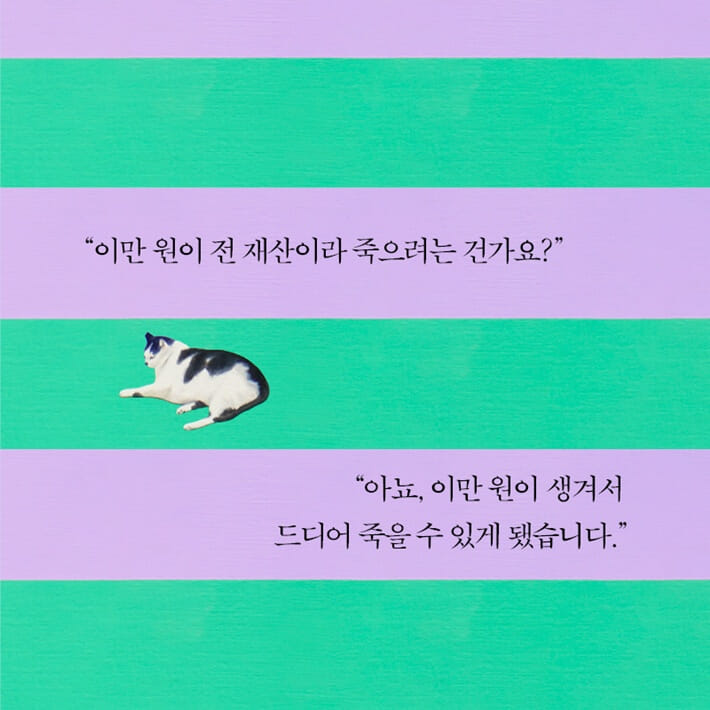 카드뉴스4