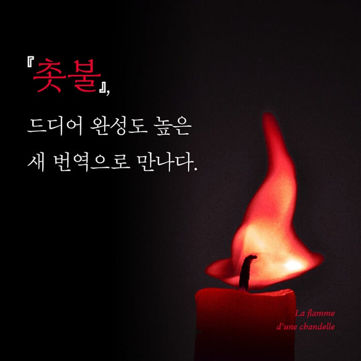 카드뉴스4