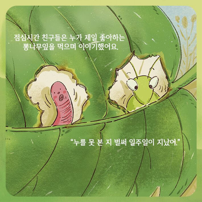 카드뉴스4