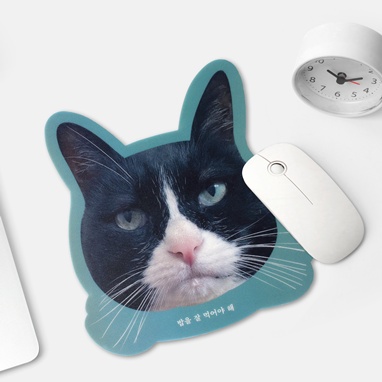 고양이 준이치 마우스패드