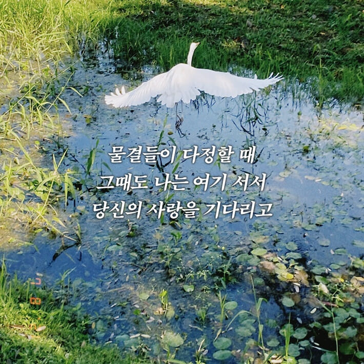 카드뉴스1