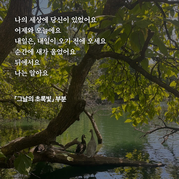카드뉴스5
