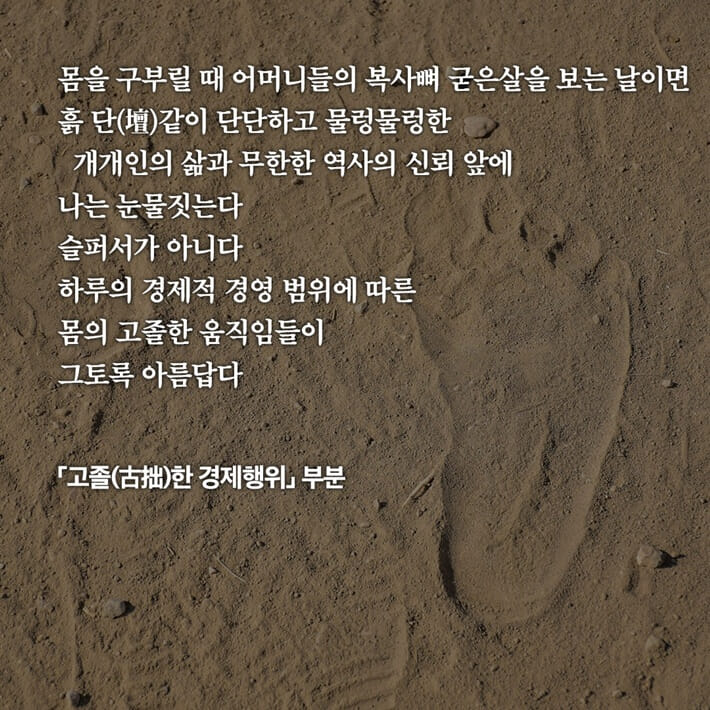 카드뉴스6