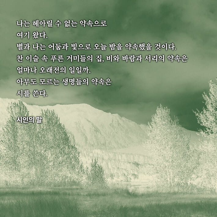 카드뉴스8