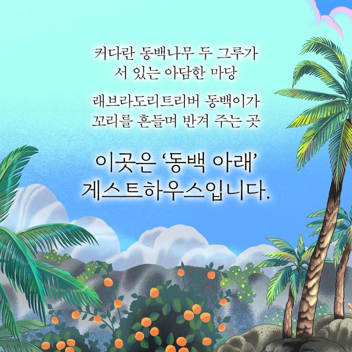 카드뉴스1