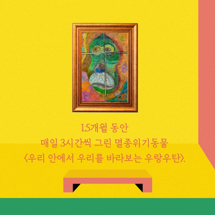 카드뉴스2