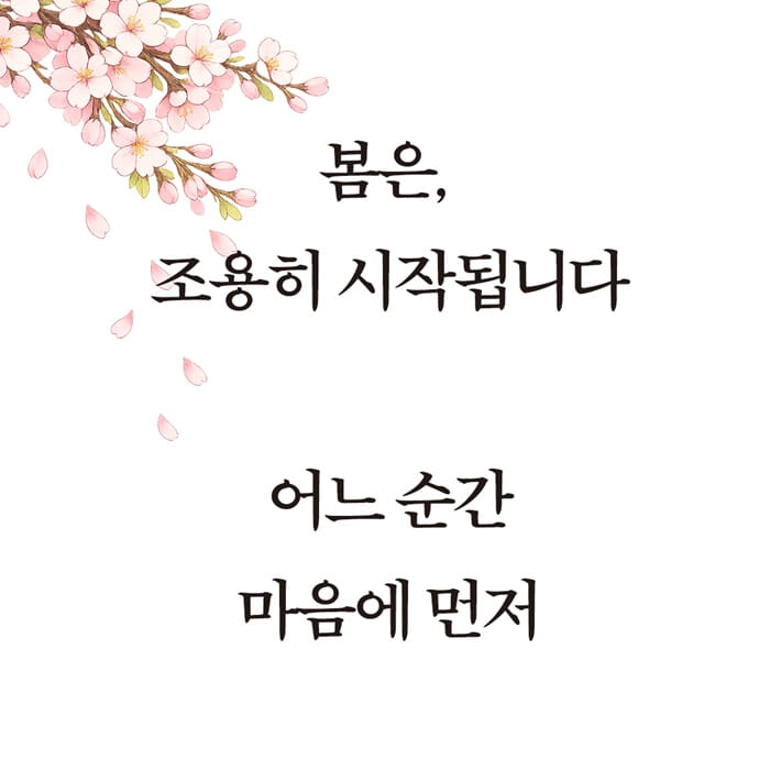 카드뉴스1