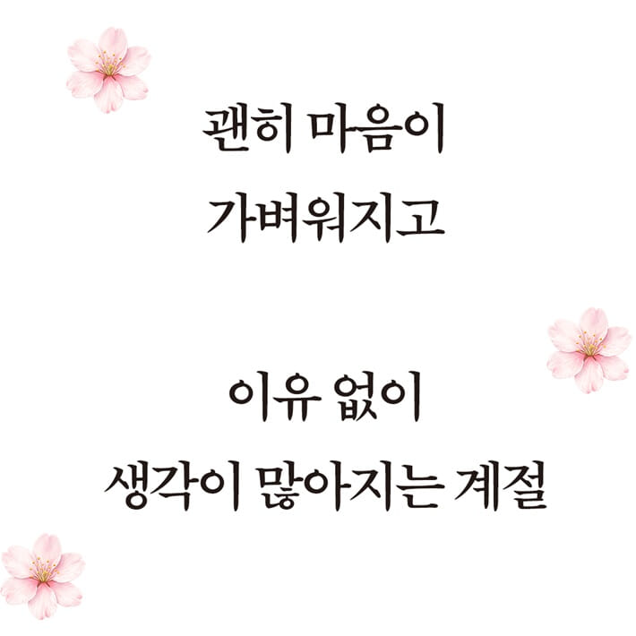 카드뉴스2