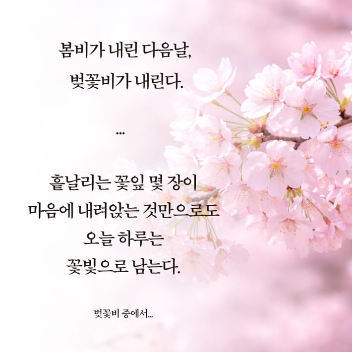 카드뉴스4