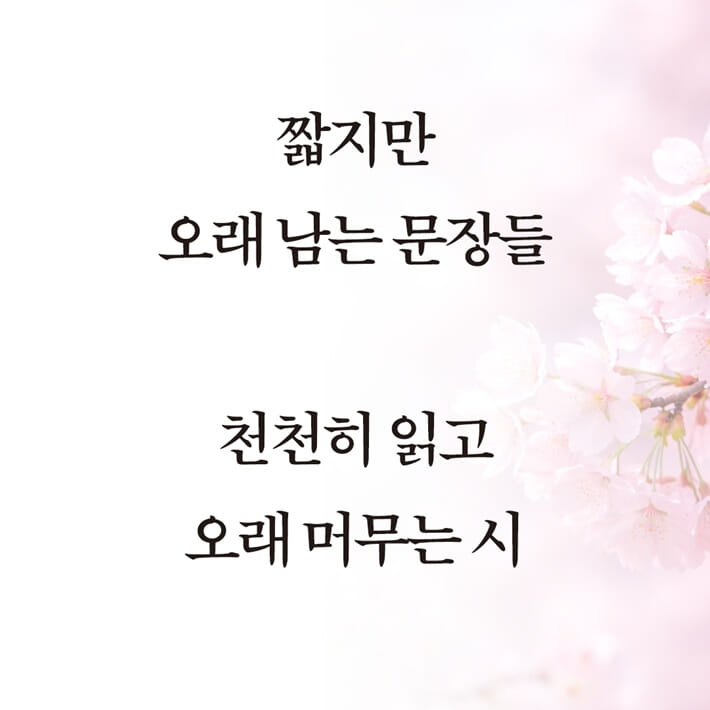카드뉴스5