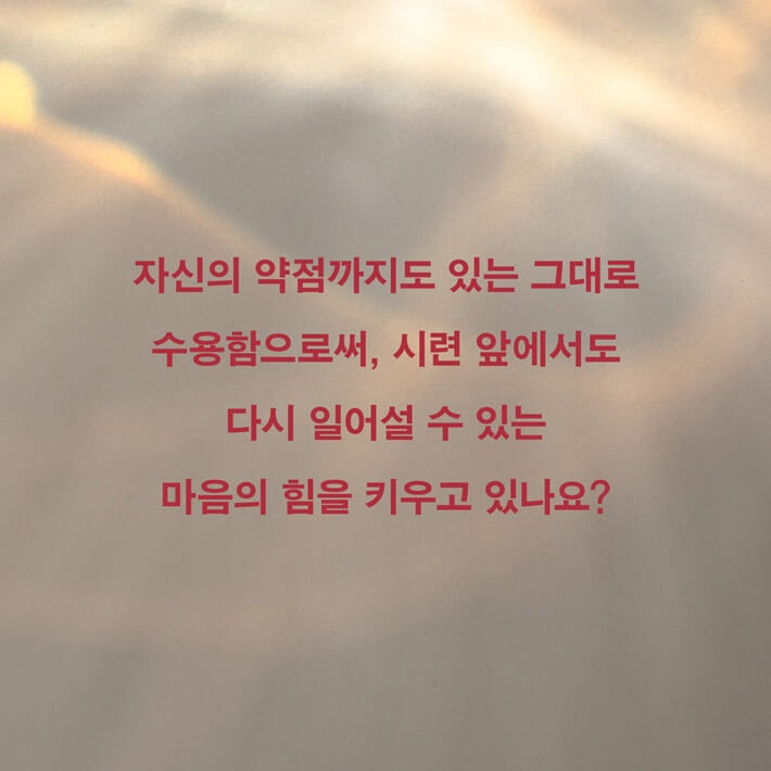 카드뉴스8