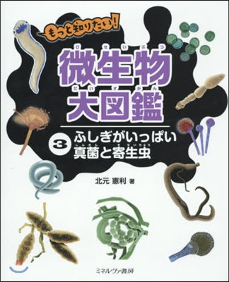 もっと知りたい!微生物大圖鑑   3