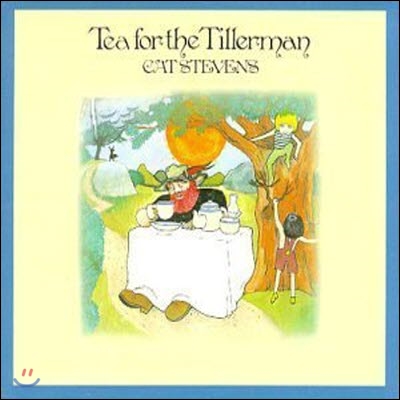 [중고] Cat Stevens / Tea For The Tillerman (수입)