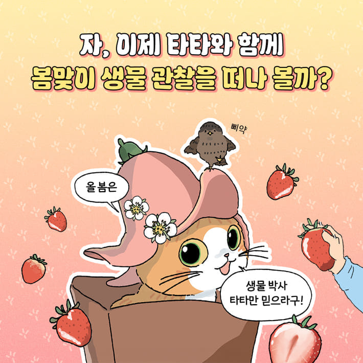 카드뉴스7