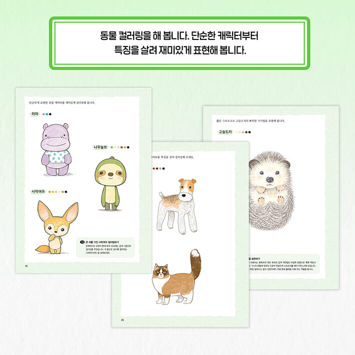 카드뉴스3