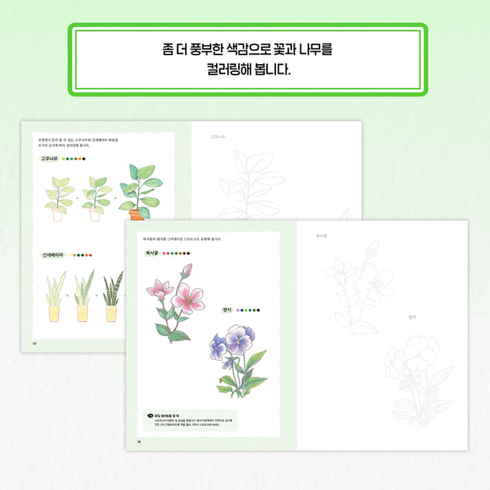 카드뉴스4