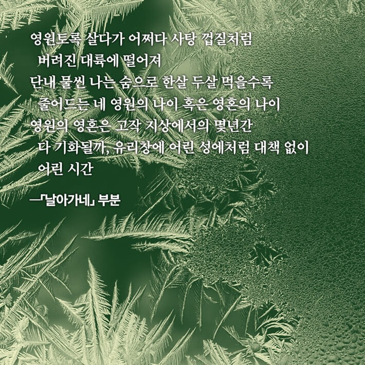 카드뉴스4