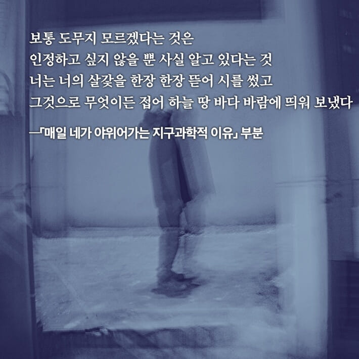 카드뉴스5