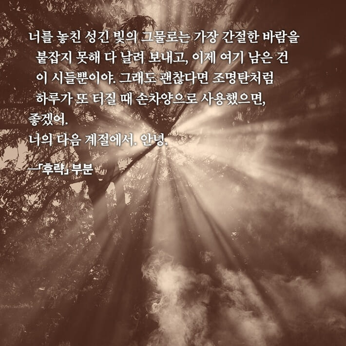 카드뉴스6