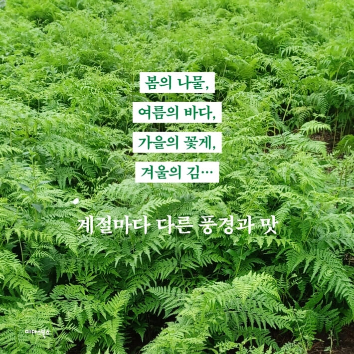 카드뉴스3
