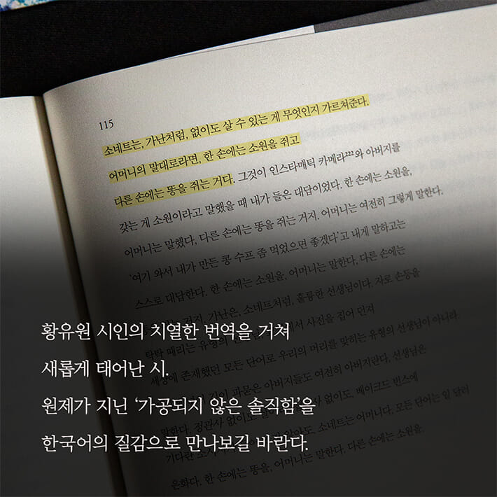 카드뉴스5