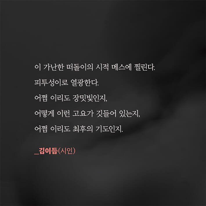 카드뉴스6