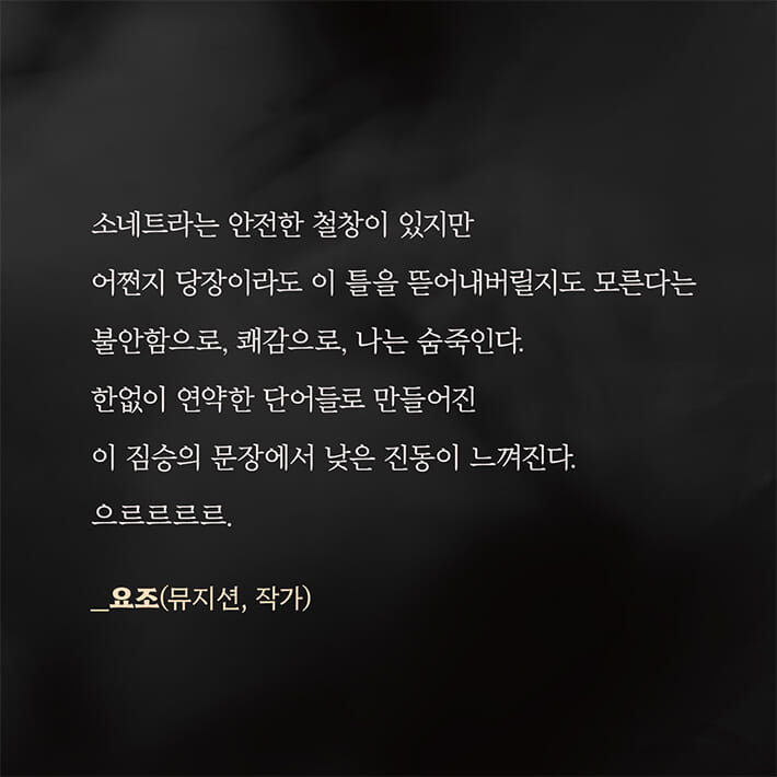 카드뉴스8