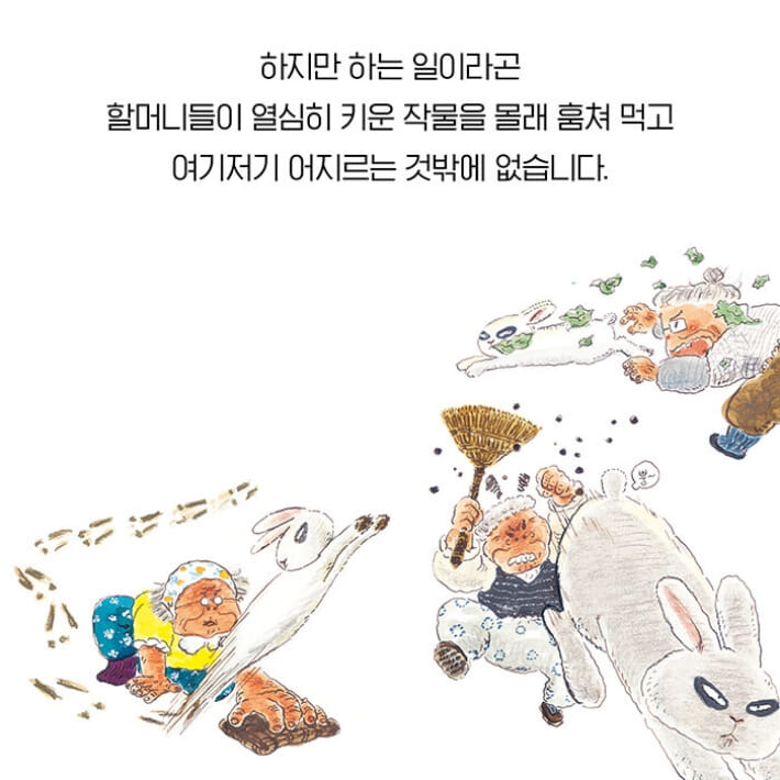 카드뉴스3