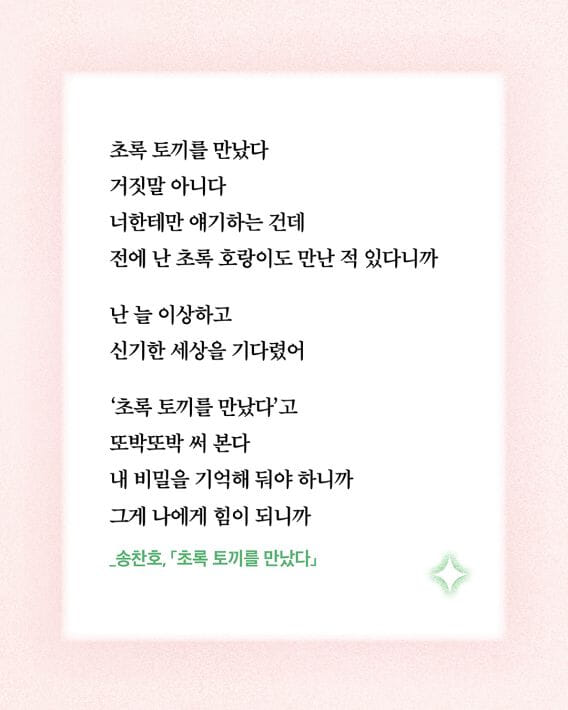 카드뉴스10
