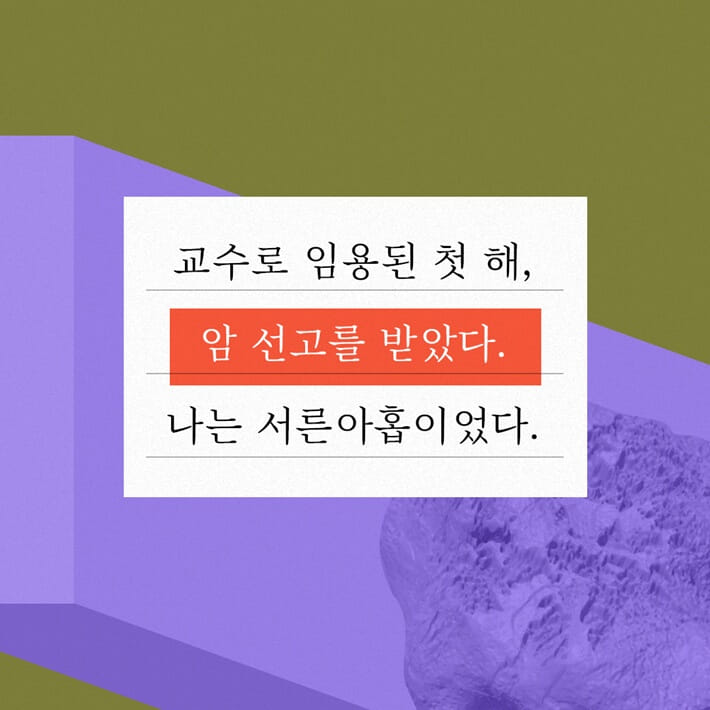 카드뉴스2