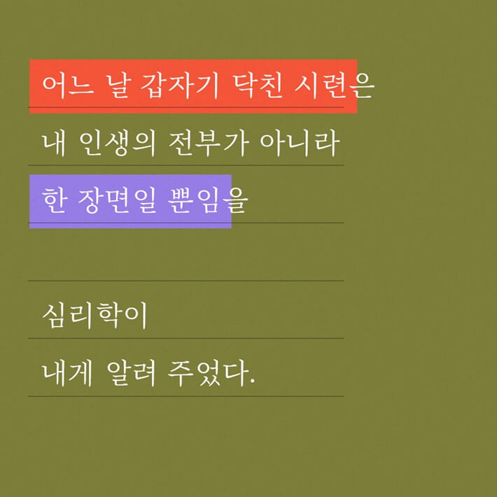 카드뉴스8