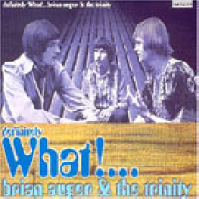 Brian Auger &amp; The Trinity - Definitely What ! (수입)