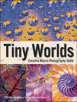 Tiny Worlds: Creative Macrophotography Skills