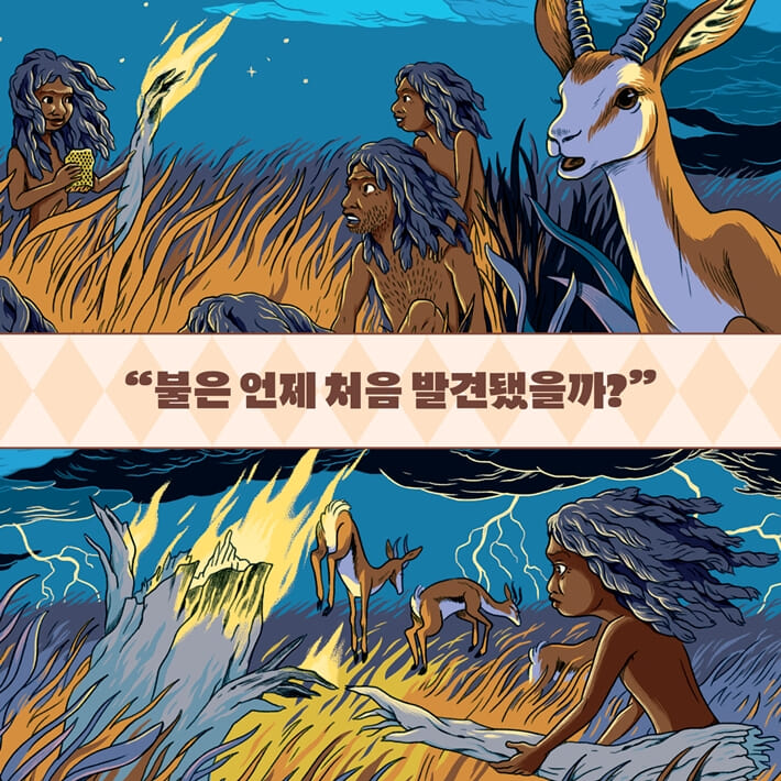 카드뉴스3