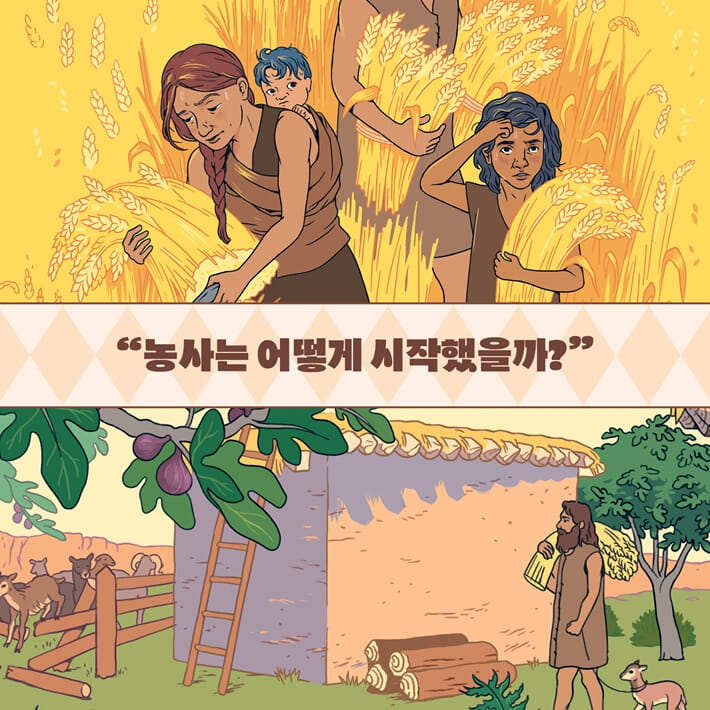 카드뉴스4