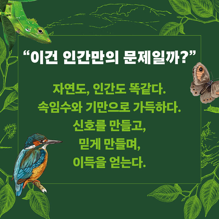 카드뉴스6