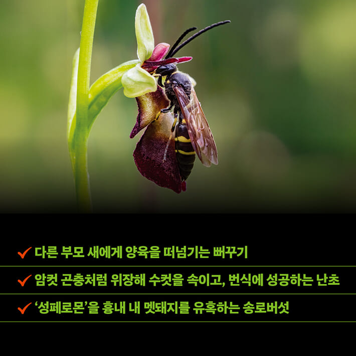 카드뉴스7