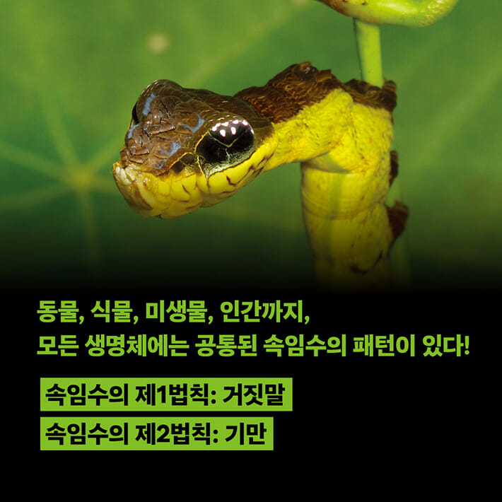 카드뉴스8