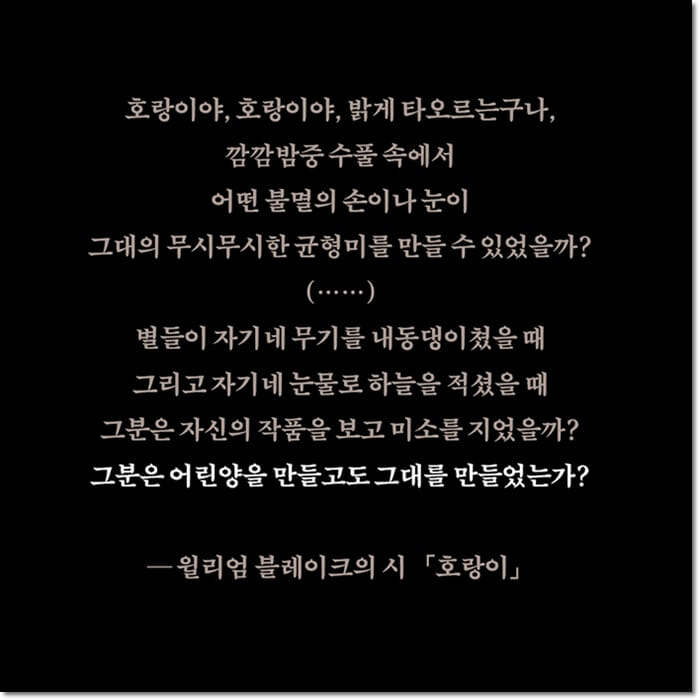 카드뉴스5
