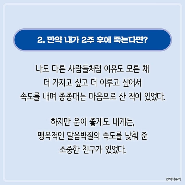 카드뉴스18
