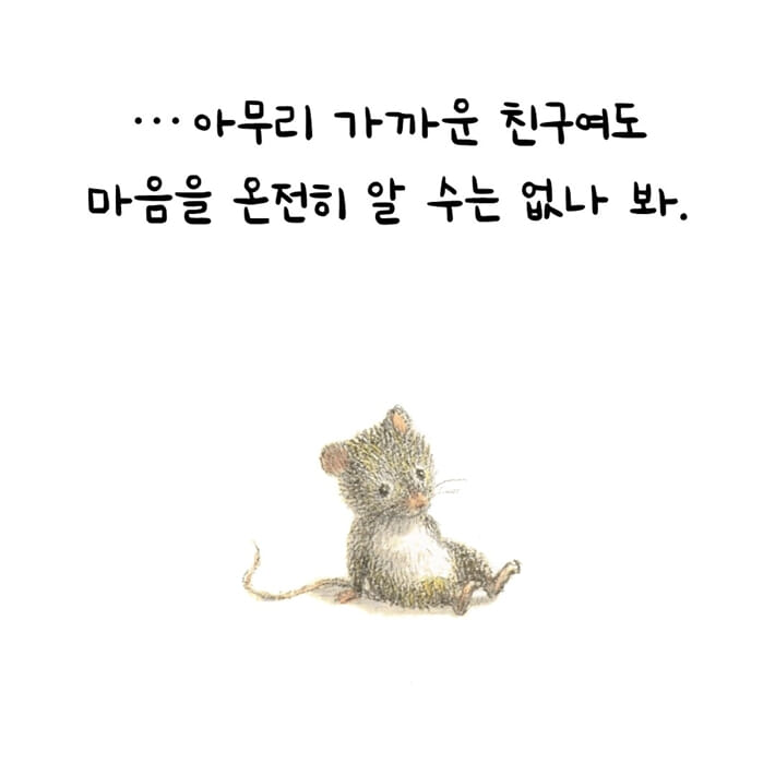 카드뉴스5