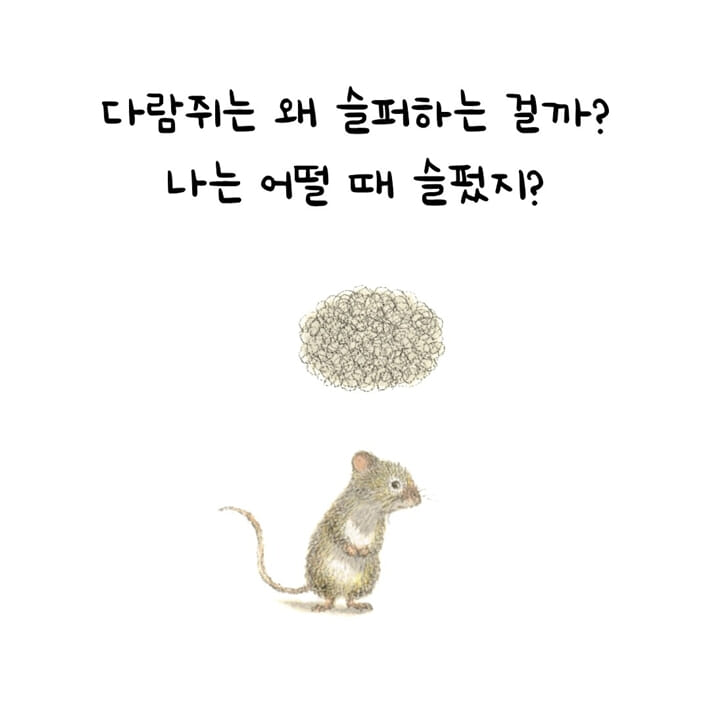 카드뉴스6