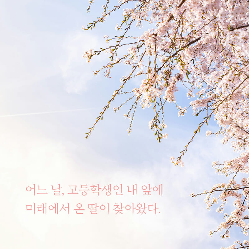 카드뉴스2